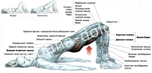 Упражнения для похудения дома