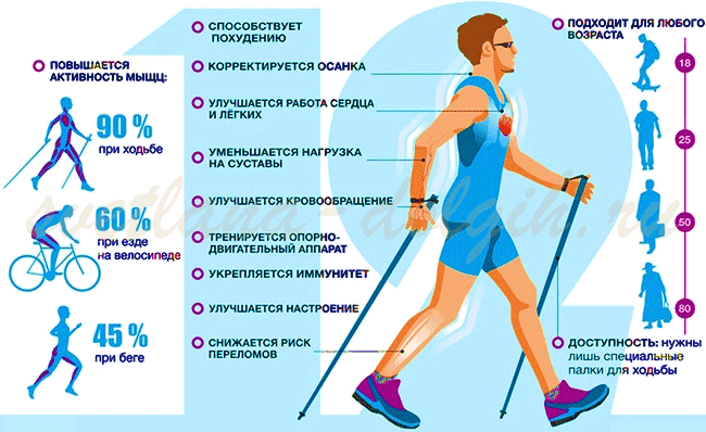 12 причин начать заниматься скандинавской ходьбой